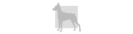 犬